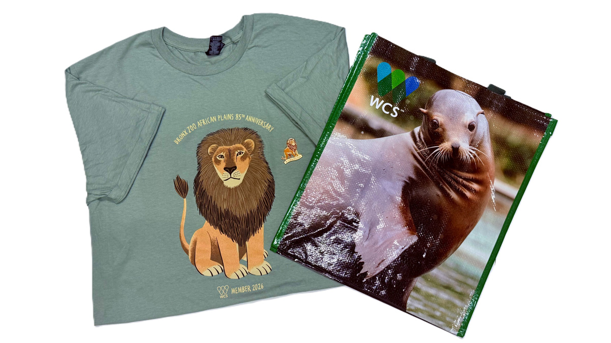 Virtual Membership Shirt, Pin, and Tote Bag